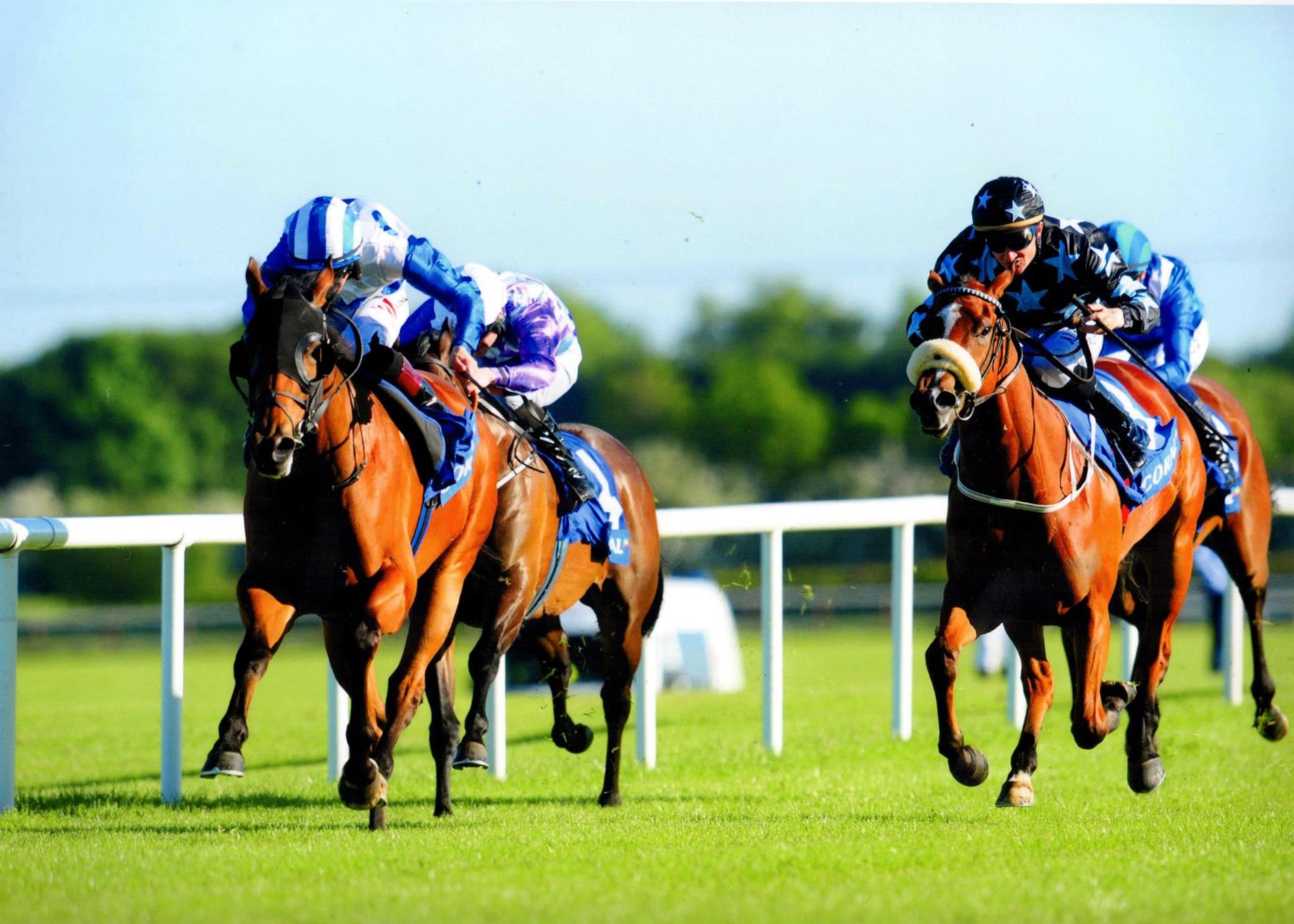 BLOOD MOON lands The Coral ie Rated Race at Fairyhouse in good